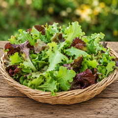 Mixed Lettuce Salad Seeds - UNIPACK (SUMMER/ WINTER)
