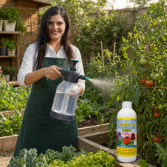 Neem Oil - 500 ml (Cold Pressed, Water Soluble) نیم آئل