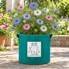 Nigella Love-in-a-Mist Persian Jewels Mix with delicate blue pink purple and white flowers surrounded by feathery green foliage and decorative seed pods – winter flower seeds Pakistan