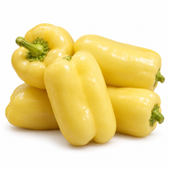 Franchi Sementi Peperone Soroksari Hungarian sweet pepper with blocky pale creamy-yellow 3–4 lobed fleshy fruits growing on a healthy branching pepper plant – seeds Pakistan