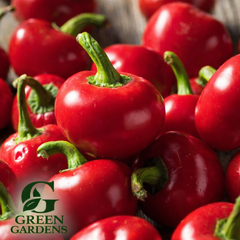 Pimento Pepper Seeds - Heirloom Sweet Peppers