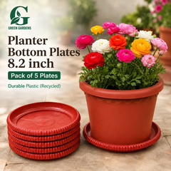 Planter Bottom Plate - 8.2 inch (Pack OF 5)