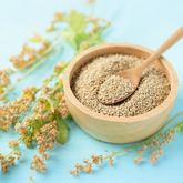 Quinoa (Chenopodium quinoa) – Super Grain Seeds