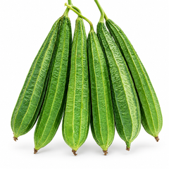 Desi Tori Ridge Gourd green elongated ridged fruits hanging from healthy climbing vines on trellis – open pollinated summer vegetable seeds Pakistan