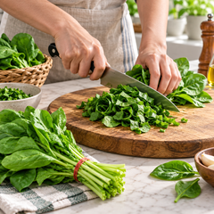 Healthy Broad Leaf F1 Hybrid Spinach plants with large tender dark-green leaves – spinach seeds for home gardening in Pakistan