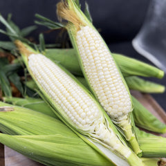 Sweet Corn (White) Seeds {SUMMER}