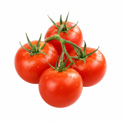 Vatan-1 determinate tomato from Azerbaijan with round medium-sized red fruits on a compact bushy plant – tomato seeds for home gardening in Pakistan