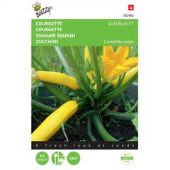 Zucchini (Summer Squash) Gold Rush, F1 - Holland {SUMMER} 2g