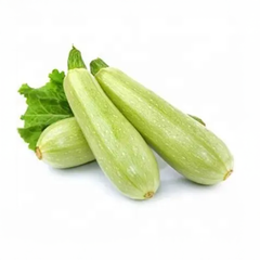 Zucchini Squash, F1 Hybrid مارو کدو