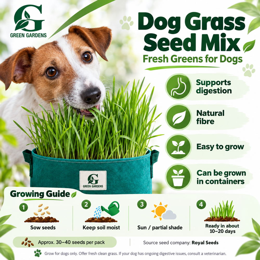 Dog Grass Seed Mix growing guide and product benefits