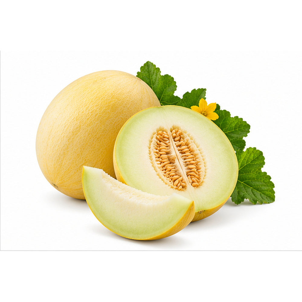 Honeydew Melon F1 Hybrid MDS-939 on pure white background