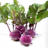Kohlrabi (Purple) گنڈھ گوبھی