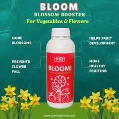 BLOOM by HARA ORGANIC Pakistan - 500ml (Blossom Booster)