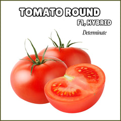 Tomato Seeds (Round) {WINTER} - F1, Hybrid (Determinate)