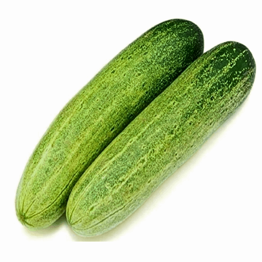 Cucumber Desi (SUMMER)دیسی کھیرا