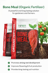 BONE MEAL - 800 g (Organic Fertilizer)