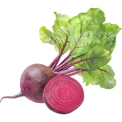 Beetroot Seeds (WINTER) چقندر
