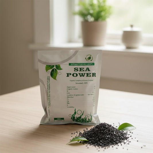 Seaweed (Sea Power) - Organic Complexed Powder Fertilizer