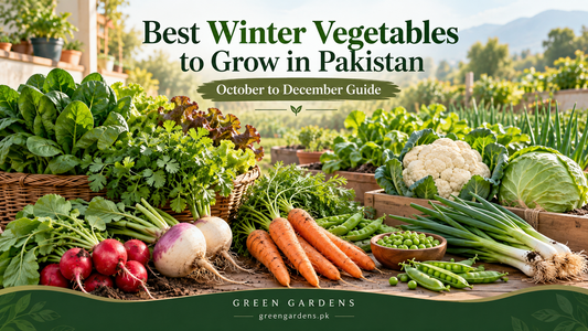 Best winter vegetables to grow in Pakistan - GREEN GARDENS