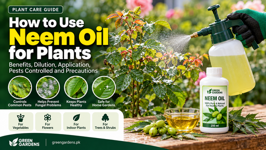 How to use neem oil for plants in Pakistan - GREEN GARDENS plant care guide