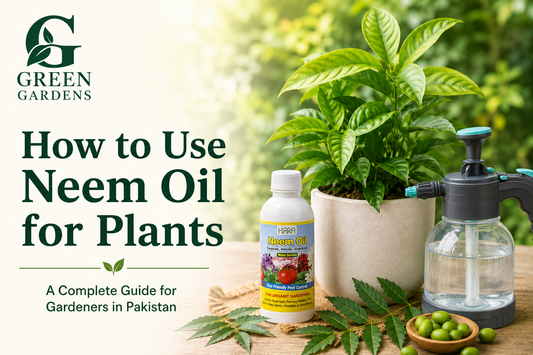 Neem oil for plants and natural pest control in Pakistan