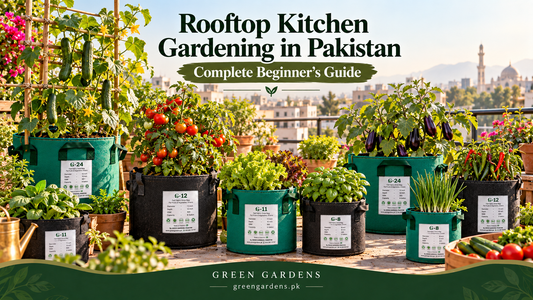 Rooftop kitchen gardening in Pakistan with GREEN GARDENS grow bags