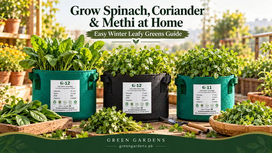 Grow spinach coriander and methi at home in GREEN GARDENS grow bags
