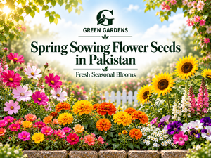 Spring Sowing Flower Seeds in Pakistan
