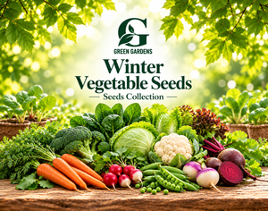 Winter Vegetable Seeds in Pakistan
