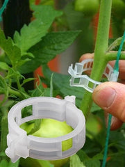 Plant Support Clips - Round Reusable (Pack of 10)