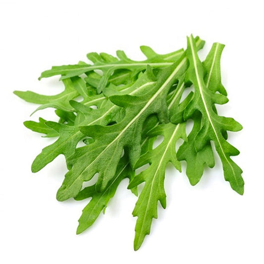 Rocket Salad Seeds (Arugula) {WINTER /SUMMER) تارا مِیرا