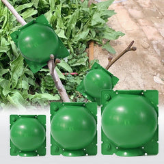 Air Layering Cup (Small) 6cm , Green