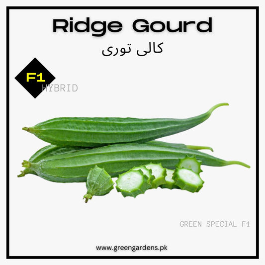 Ridge Gourd Seeds, F1 Hybrid (SUMMER) کالی توری