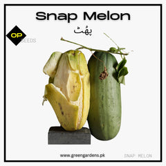 Snap Melon Seeds پھُٹ/ کَکڑی