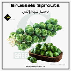 Brussels Sprouts Seeds
