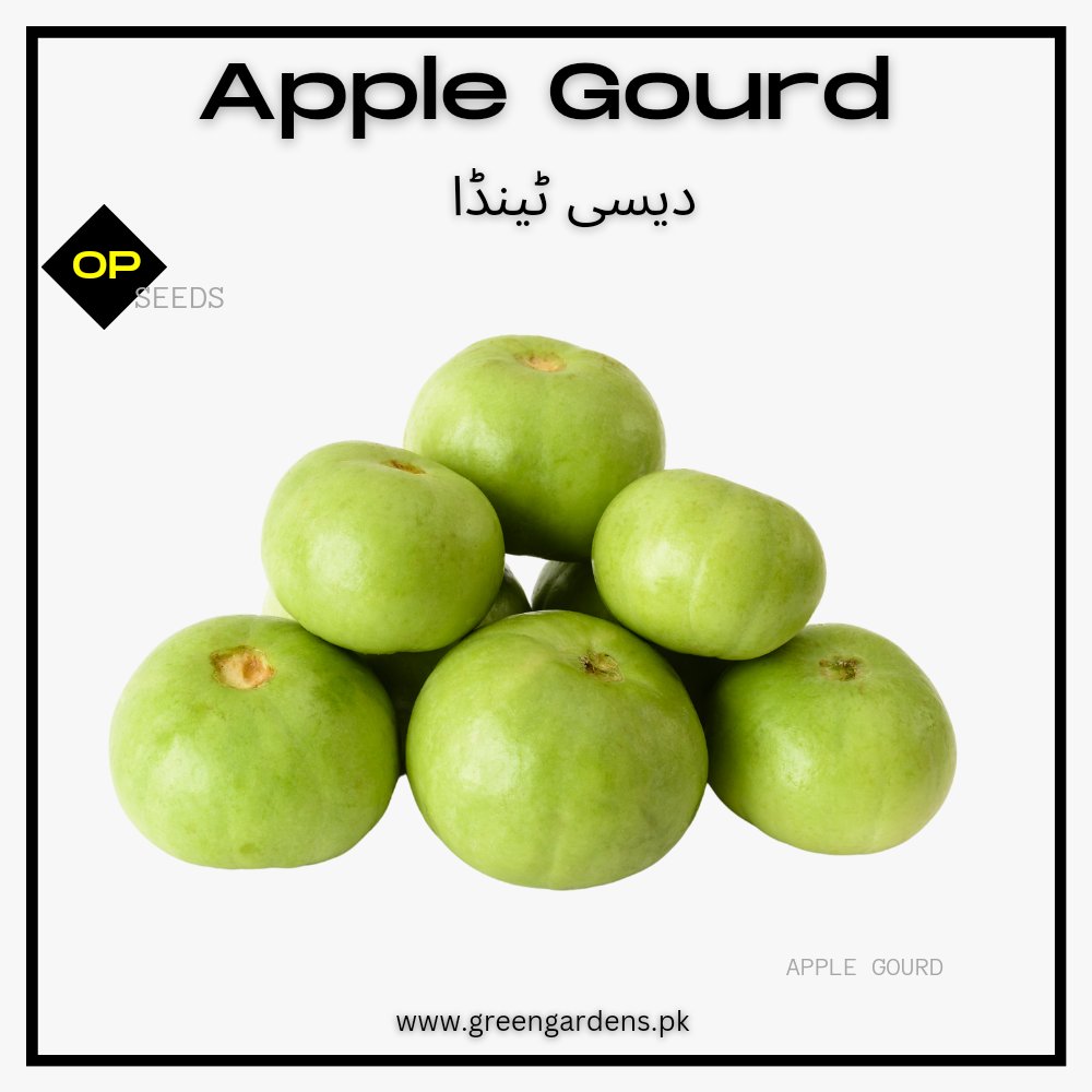 Desi Tinda, Light Green Seeds (Apple Gourd)  دیسی ٹینڈا