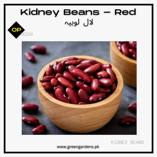 Kidney Beans Seeds- Red لال لوبیہ