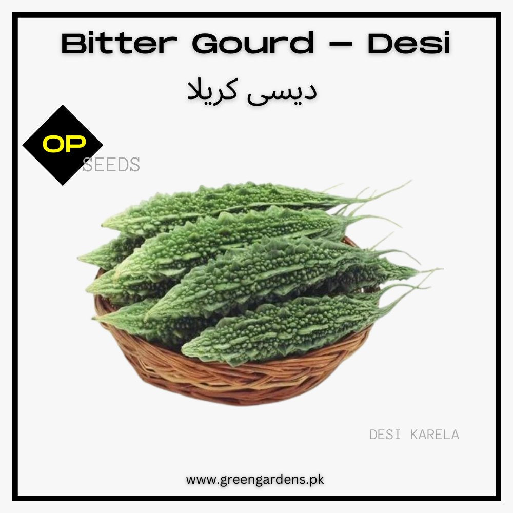 Desi Karela Seeds (Bitter Gourd)دیسی کریلا