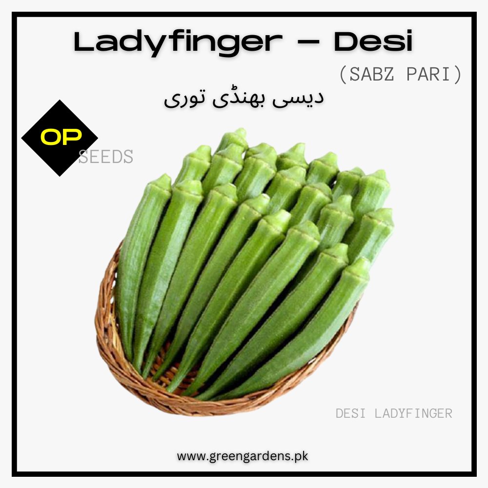Okra - (Ladyfinger) Desi دیسی بھنڈی توری
