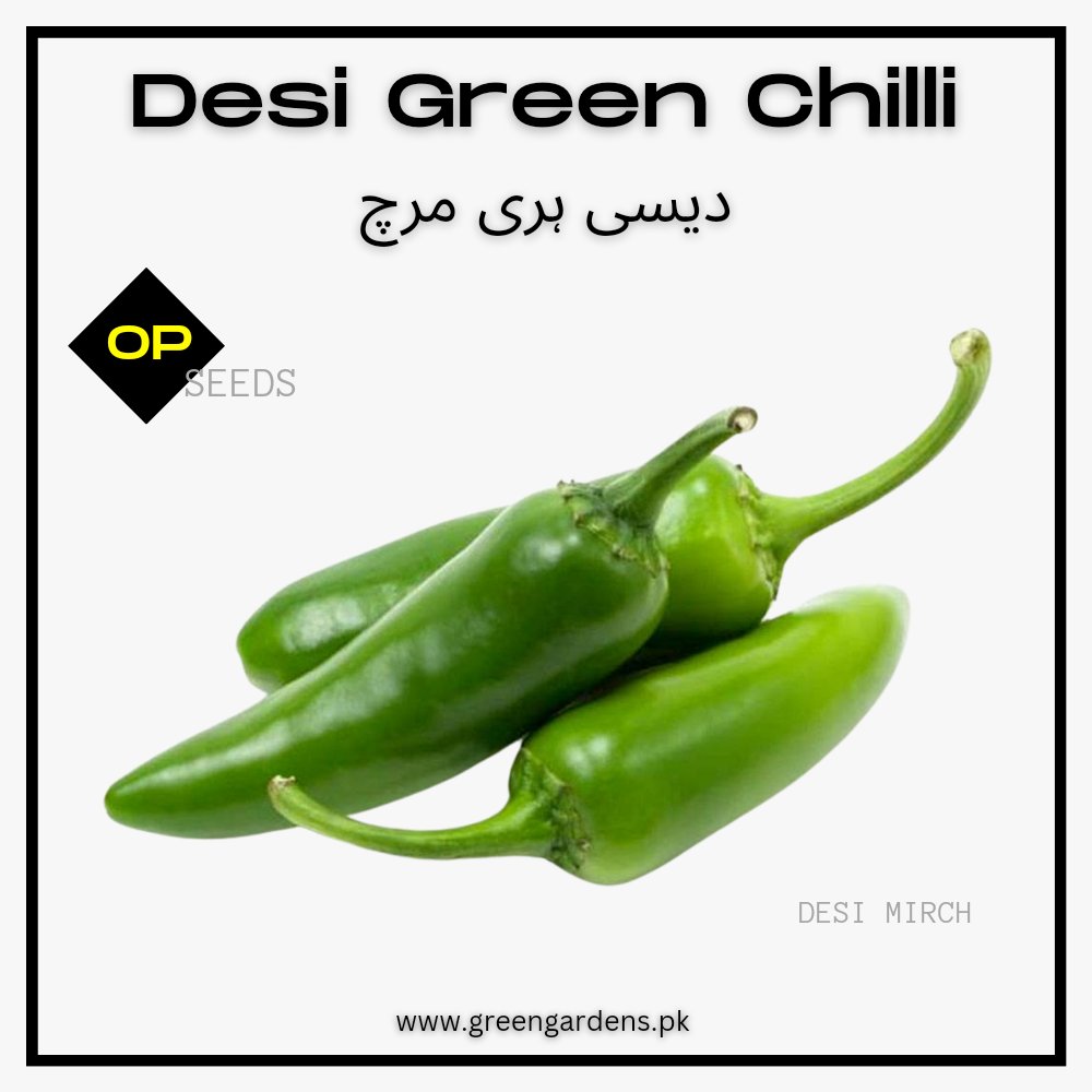 Green Chilli Seeds, Desi {WINTER}  دیسی ہری مرچ