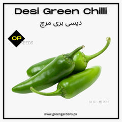 Green Chilli Seeds, Desi {WINTER}  دیسی ہری مرچ