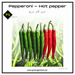 Pepperoni Seeds (Hot Pepper), F1 Hybrid {WINTER} تیز لال مرچ