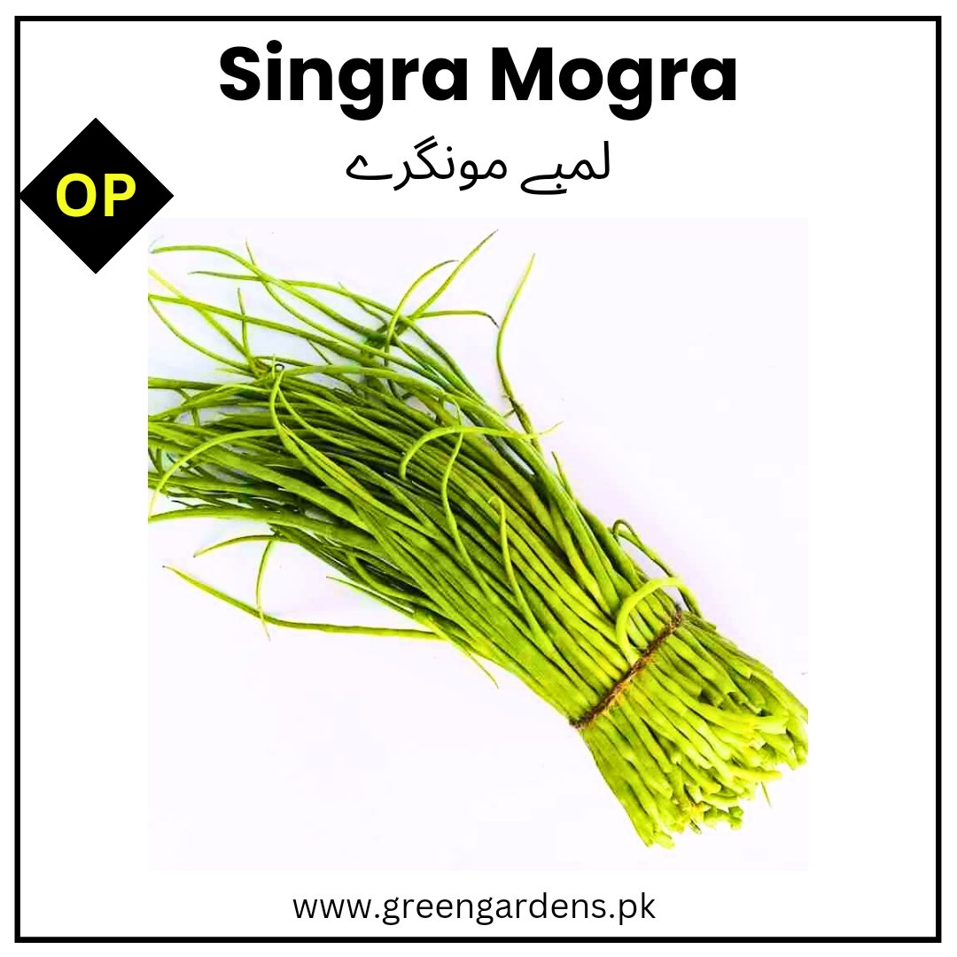 Singra Mogra (Radish Pods) {WINTER} لمبے مونگرے