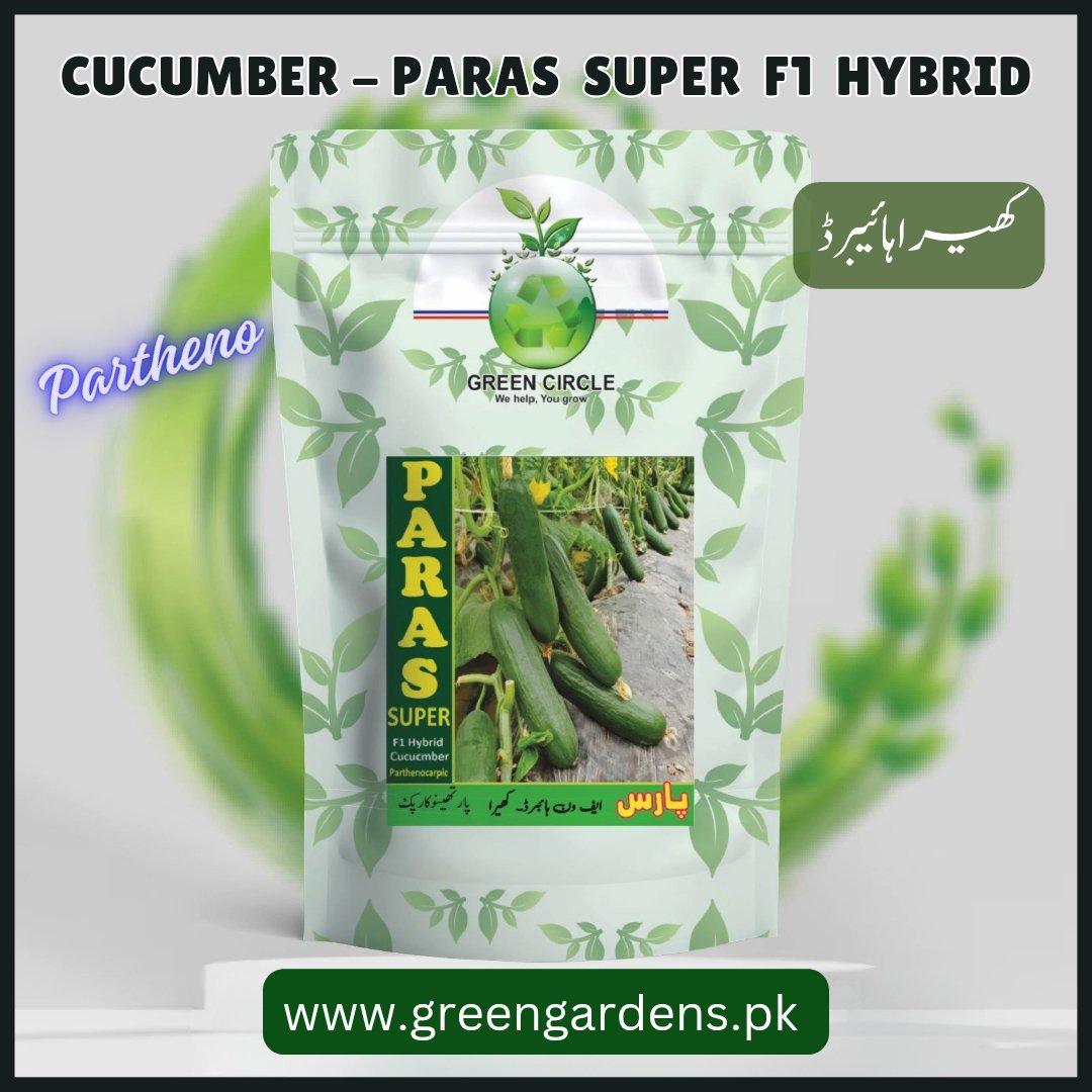 Paras Super F1 Hybrid Partheno Cucumber (1000 Seed)