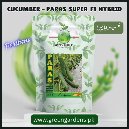 Paras Super F1 Hybrid Partheno Cucumber (1000 Seed)