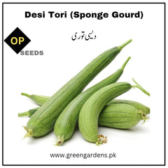 Desi Tori Seeds (Sponge Gourd)دیسی توری