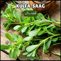 KULFA SAAG Seeds (Purslane) قُلفہ ساگ
