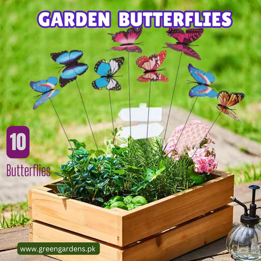 Garden Butterflies - (PACK OF 10)