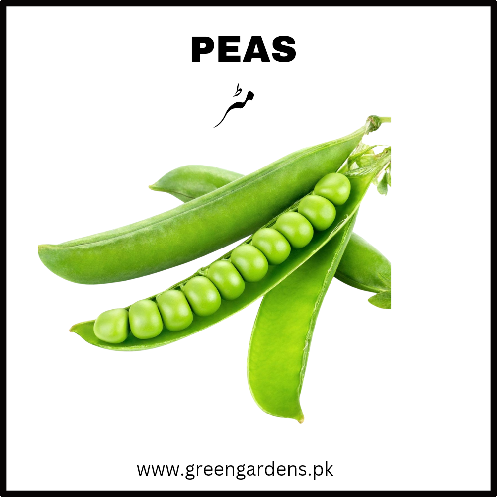 Peas / مٹر