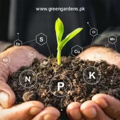 Vermicompost, 10 kg (100% Pure & Natural)